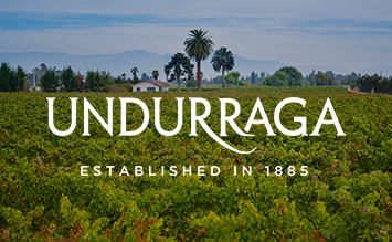 Weingut Viña Undurraga