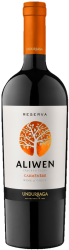 Undurraga Aliwen Carmenere 2024 