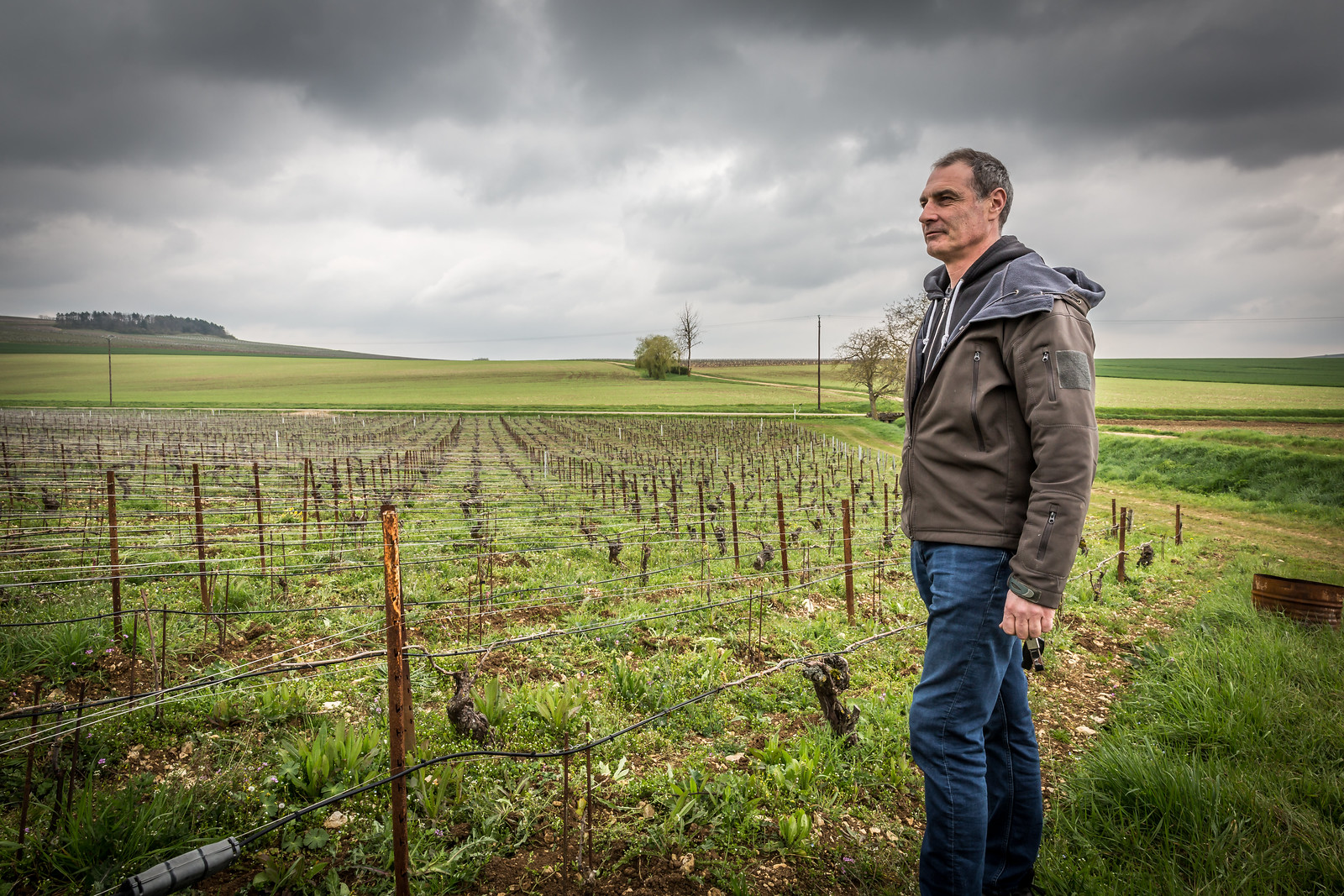 Banner Weingut Domaine Guillaume Vrignaud 