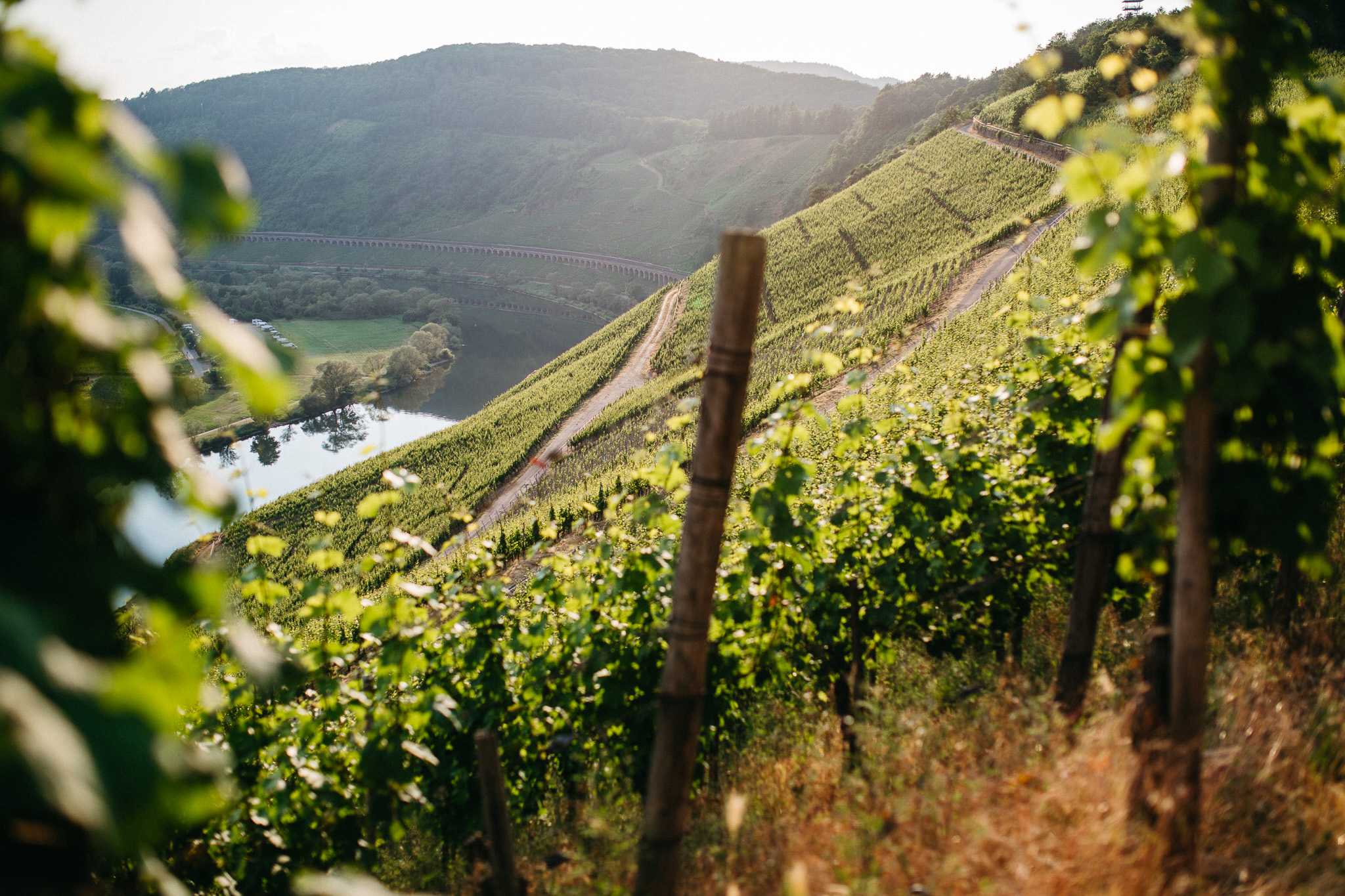 Banner Weingut Walter Banner Loma Larga
